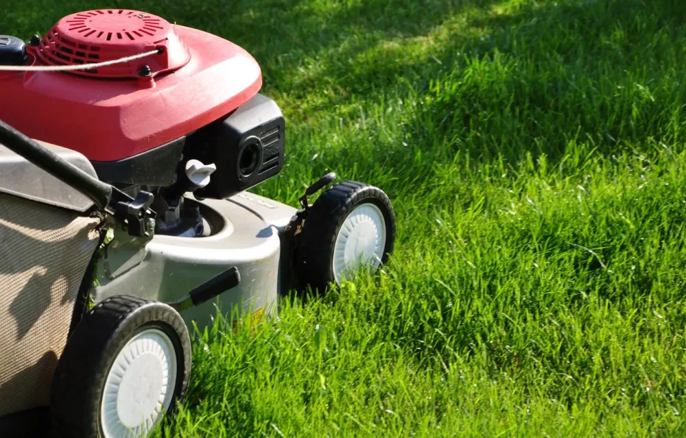 Expert en motoculture à Thizy-les-Bourgs