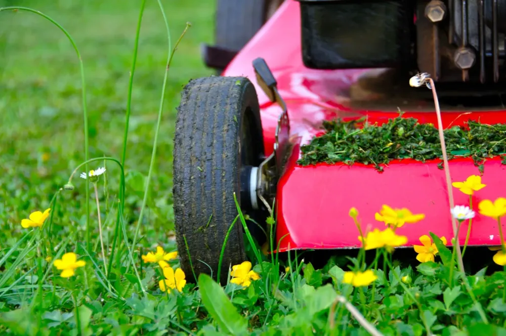 Tondeuse, broyeur, tronçonneuse, débroussailleuse, taille haie, etc ... à Thizy-les-Bourgs
